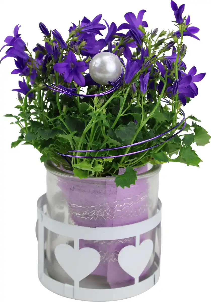 Bild 1 von Bepflanzte Arrangements zu Muttertag Teelichtglas