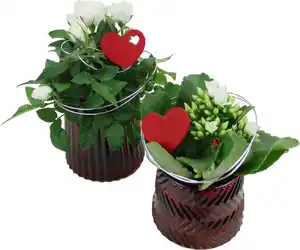 Bepflanzte Arrangements zu Muttertag Glastopf