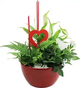 Bepflanzte Arrangements zu Muttertag Keramikschale