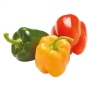 Paprika Mix
