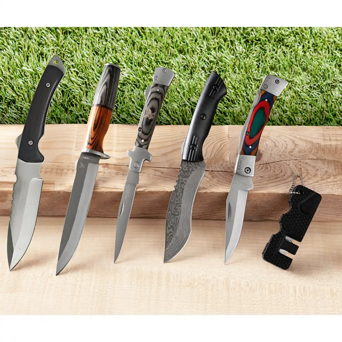 Bild 1 von Solax Sunshine Outdoor-Tools