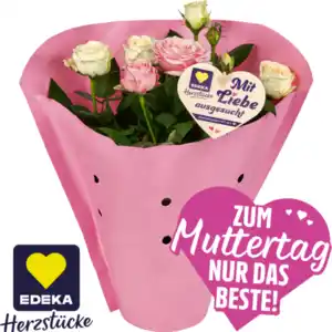 Topfrosen****