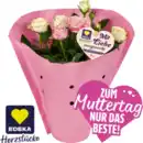 Bild 1 von Topfrosen****
