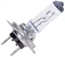 Bild 1 von Halogenlampe
