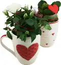 Bild 1 von Bepflanzte Arrangements zu Muttertag Tasse