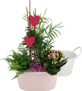 Bepflanzte Arrangements zu Muttertag Zinkschale