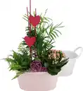 Bild 1 von Bepflanzte Arrangements zu Muttertag Zinkschale