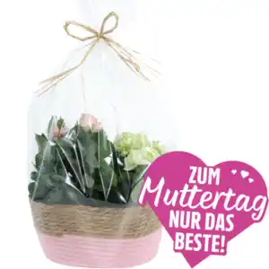 Infinity Rosen und Hortensien****