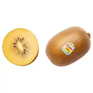 Zespri Kiwi Sungold Stück