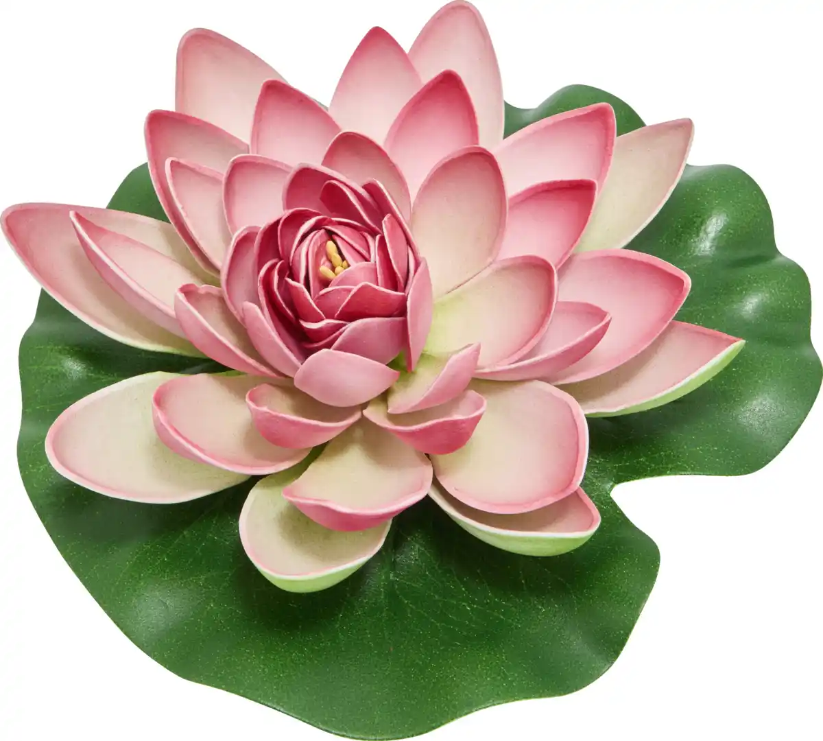 Bild 1 von IDEENWELT Schwimmende Deko-Seerose rosa