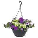 Bild 1 von GARDENLINE Ampel Ton in Ton Lila/Lime