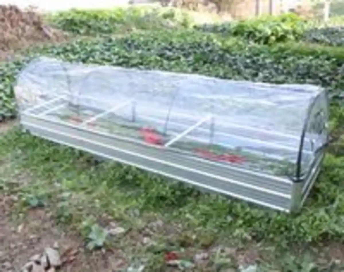 Bild 3 von Gartenbeet mit Überdachung, ca. 300 x 80 x 80 cm