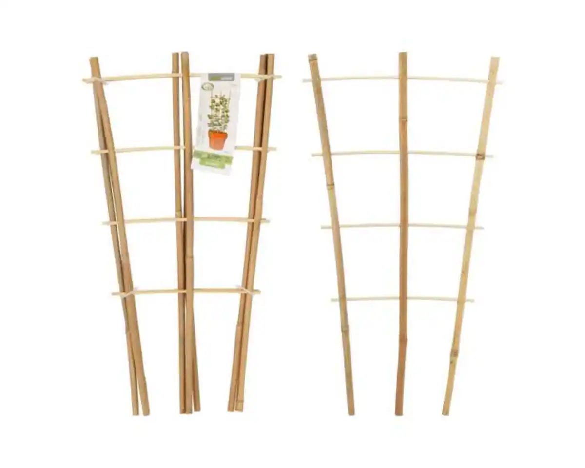 Bild 1 von Pflanzenstütze Bambus, 46 x 24 cm, 3 Stück