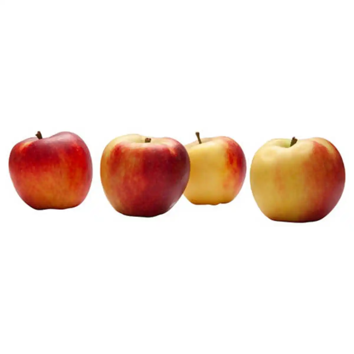 Bild 1 von BESTES AUS DER REGION Äpfel Elstar 1,1 kg