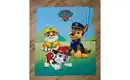 Bild 1 von Herding Plaid Paw Patrol