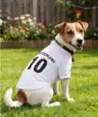 Bild 1 von Fan-Shirt für Hunde, weiß