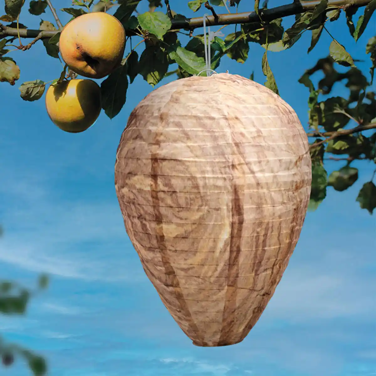 Bild 1 von Gardigo Wespenfrei Premium 2er-Set