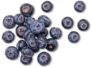 Marokk./span. Kulturheidelbeeren, 200-g-Schale