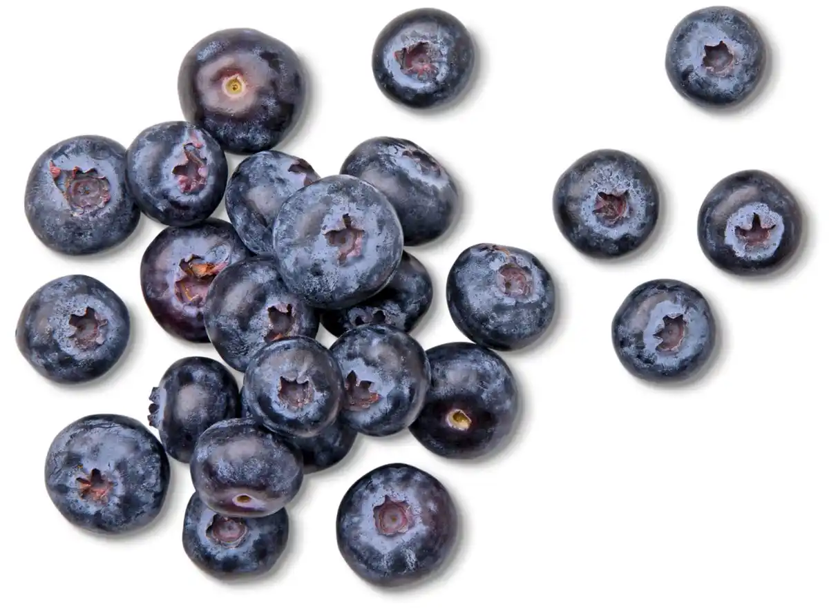 Bild 1 von Marokk./span. Kulturheidelbeeren, 200-g-Schale