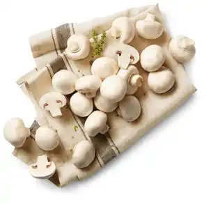 Poln./kroat. Kulturchampignons XXL, weiß, 750-g-Packg.