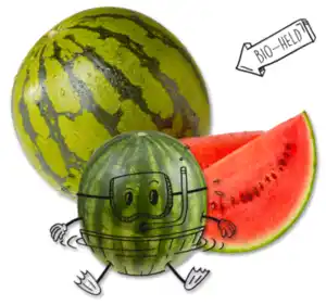 NATURGUT Bio Mini-Wassermelone