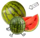 Bild 1 von NATURGUT Bio Mini-Wassermelone
