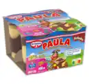 Bild 1 von DR. OETKER Paula Pudding*