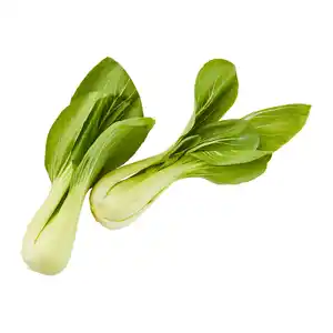 Mini-Pak-Choi