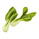 Bild 1 von Mini-Pak-Choi