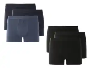 Boxer,  3 Stu