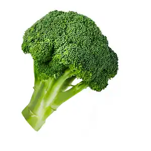 Brokkoli