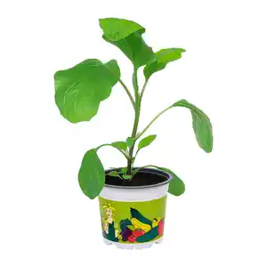 GARDENLINE Gemüsepflanze
