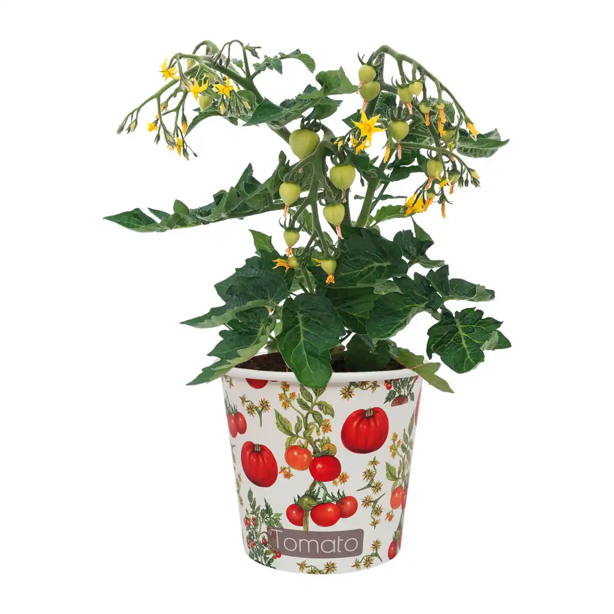 Bild 2 von GARDENLINE Obst im Becher