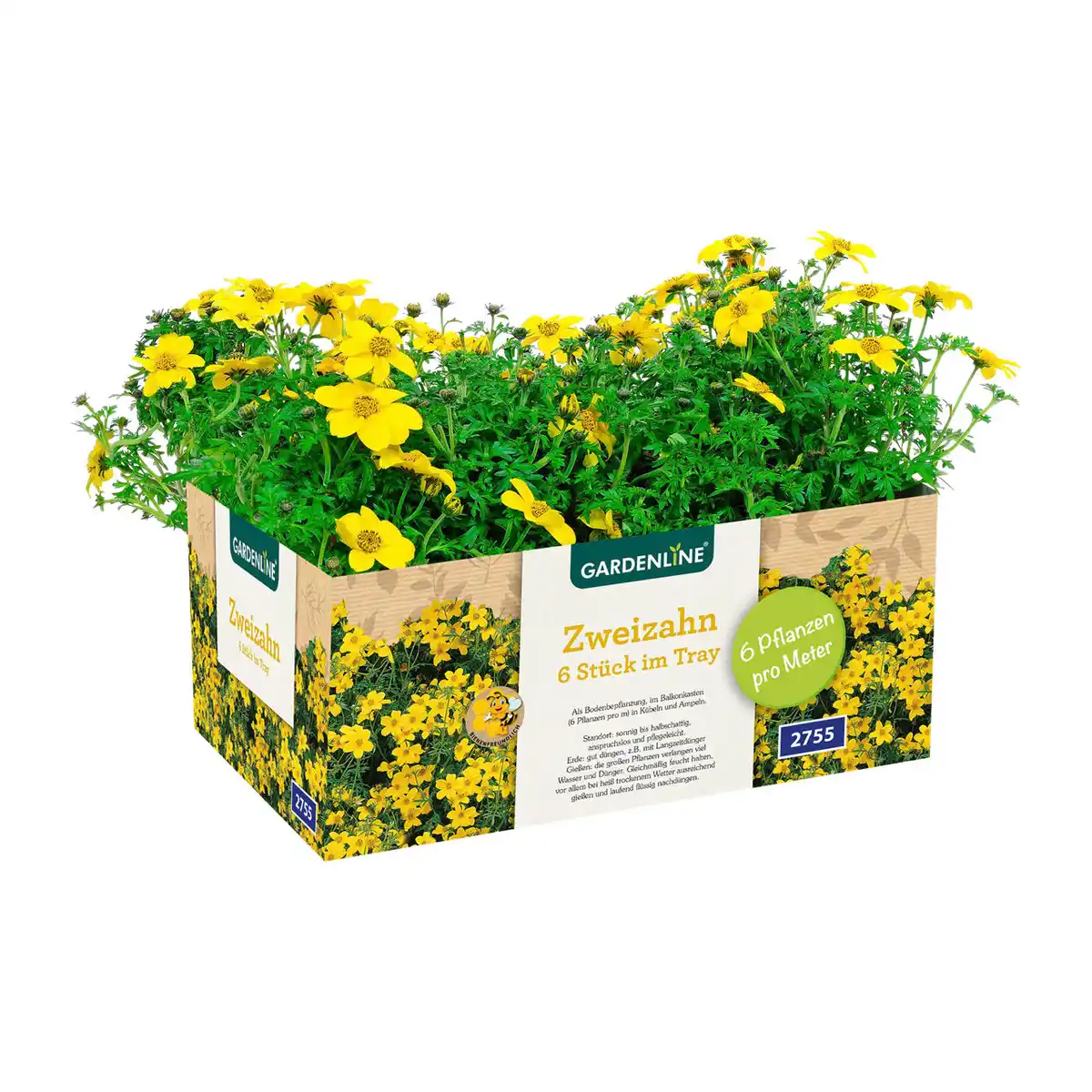 Bild 2 von GARDENLINE Beet- / Balkon- / Kübelpflanzen