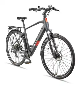 Expedition XT490 Trekking E-Bike Herren (250 W, 36 V) - Granitgrau
