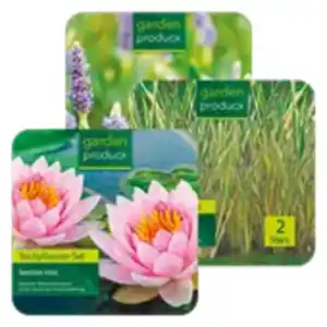Teichpflanzen-Set