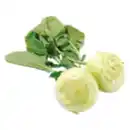 Bild 1 von Kohlrabi