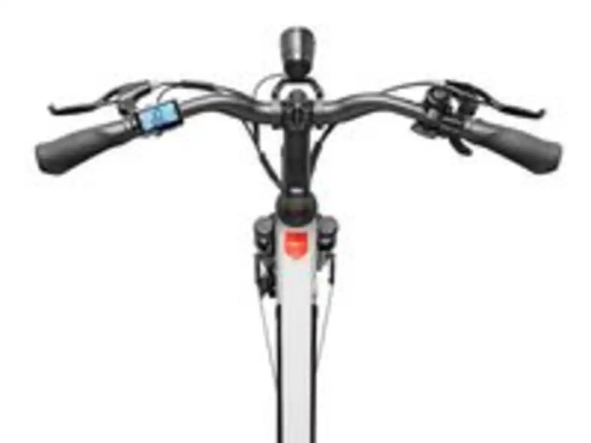 Bild 4 von Expedition XT490 Trekking E-Bike Herren (250 W, 36 V) - Kreide