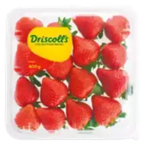 Driscoll’s Erdbeeren