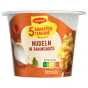 Maggi 5 Minuten Terrine Nudeln in Rahmsauce