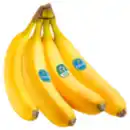 Bild 1 von Bananen