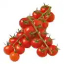 Bild 1 von Mini-Cherry-Strauchtomaten