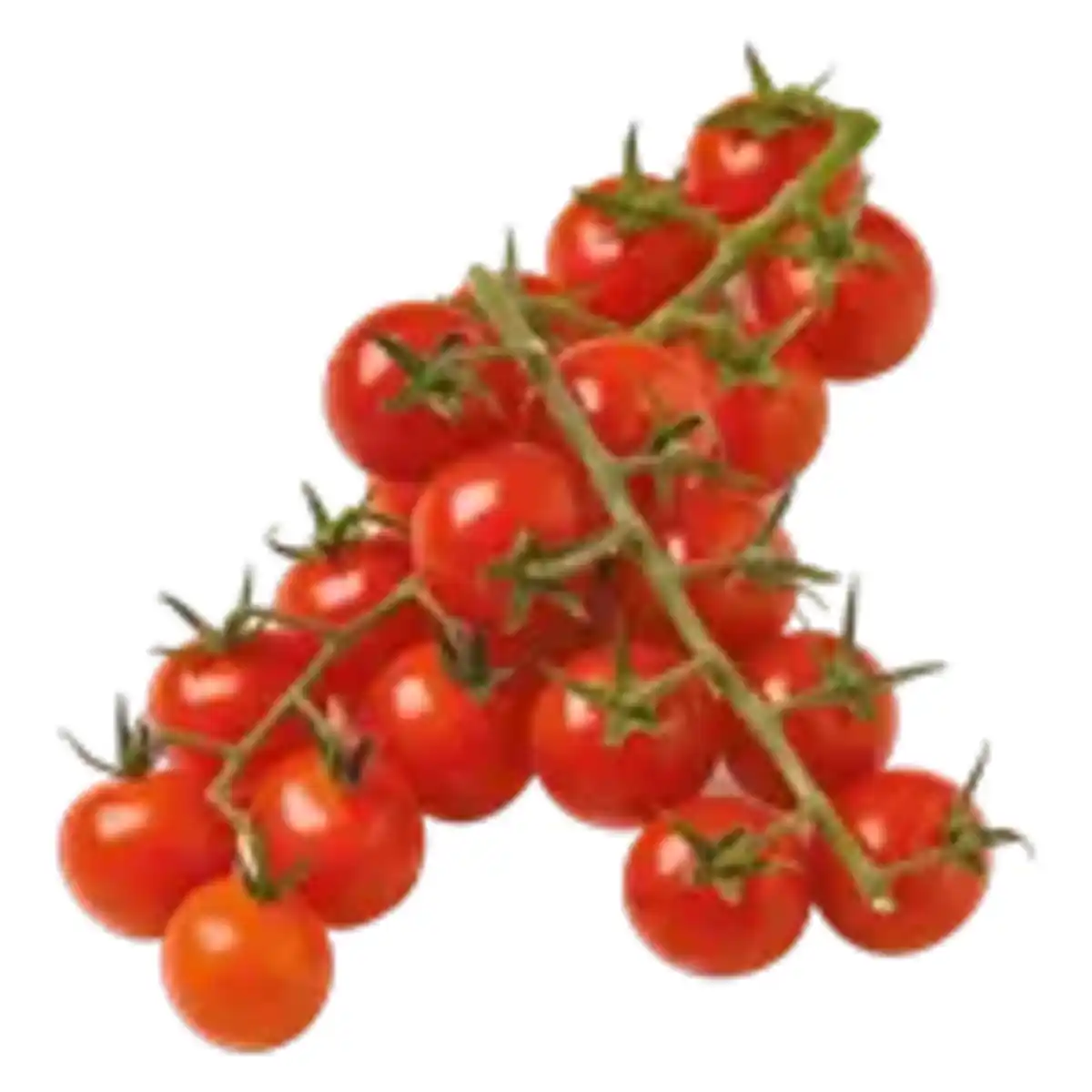 Bild 1 von Mini-Cherry-Strauchtomaten