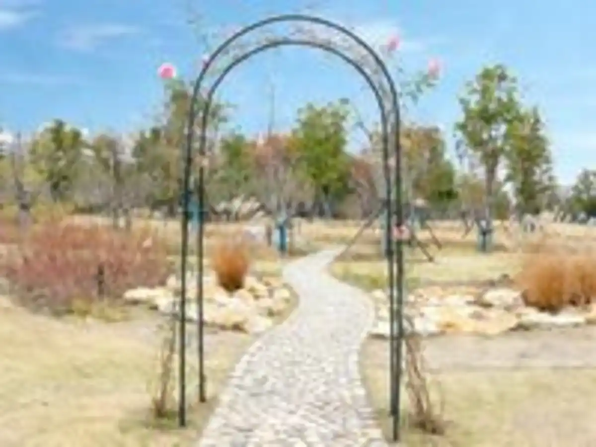 Bild 2 von Gartenbogen aus Metall, ca. 110 x 39 x 230 cm