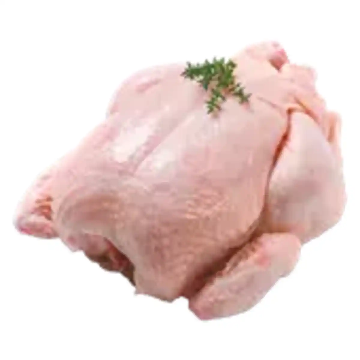 Bild 1 von Meine Fleischerei Mecklenburger Broiler