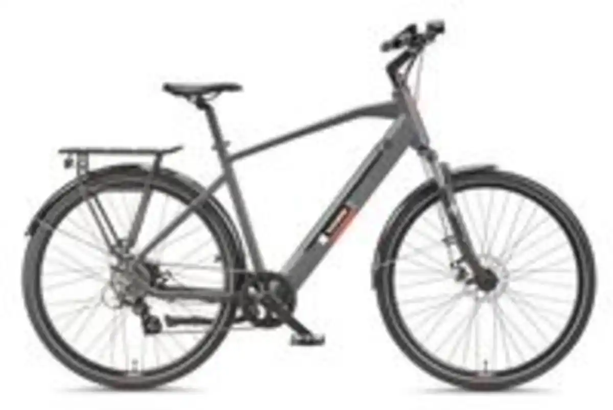 Bild 2 von Expedition XT490 Trekking E-Bike Herren (250 W, 36 V) - Granitgrau