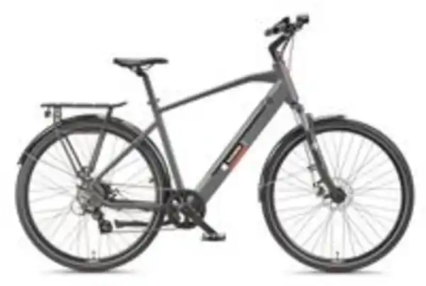 Bild 2 von Expedition XT490 Trekking E-Bike Herren (250 W, 36 V) - Granitgrau
