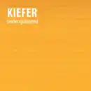 Bild 2 von Dekor-Langzeitlasur kiefer