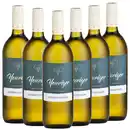 Bild 1 von Grüner Veltliner, trocken - 6er Karton
