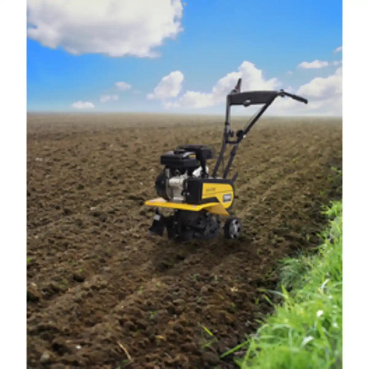 Bild 2 von TEXAS Benzin-Motorhacke »Lilli«, 1,6 l, 1,4 kW, 1,9 PS